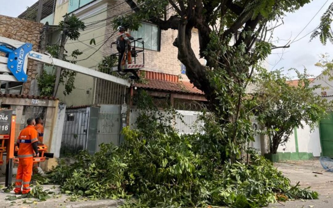 Agora é Lei! Moradores do Rio podem contratar serviços privados de poda de árvores