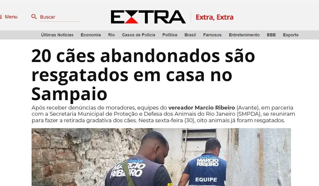 Cães abandonados são resgatados no bairro do Sampaio