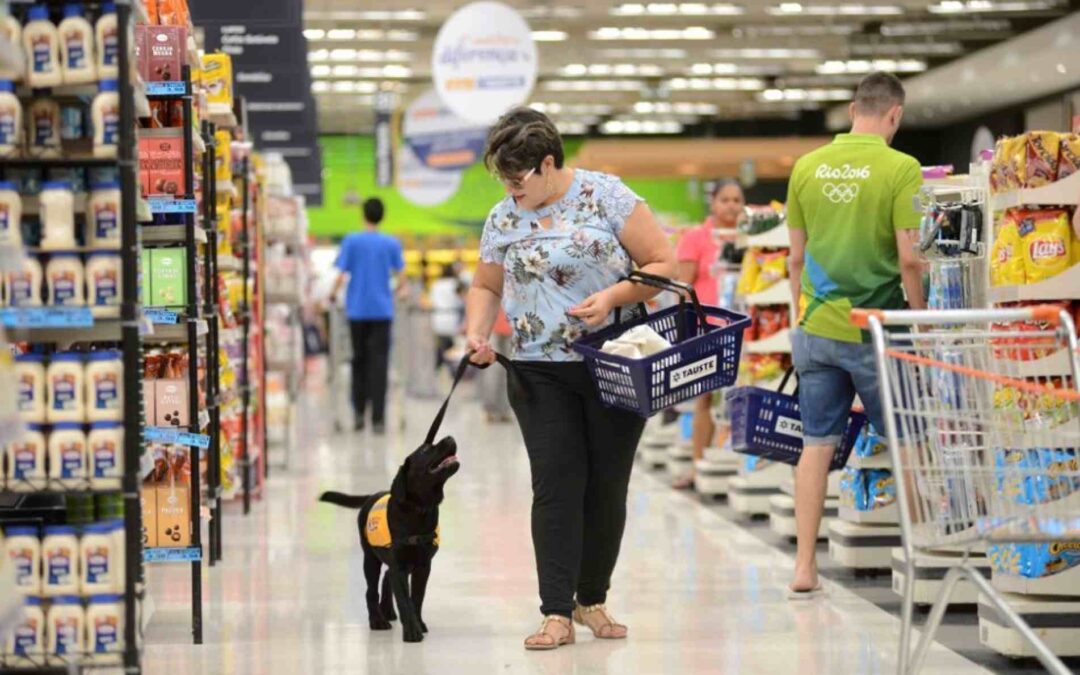 Cães e gatos já podem circular em supermercados pet friendly